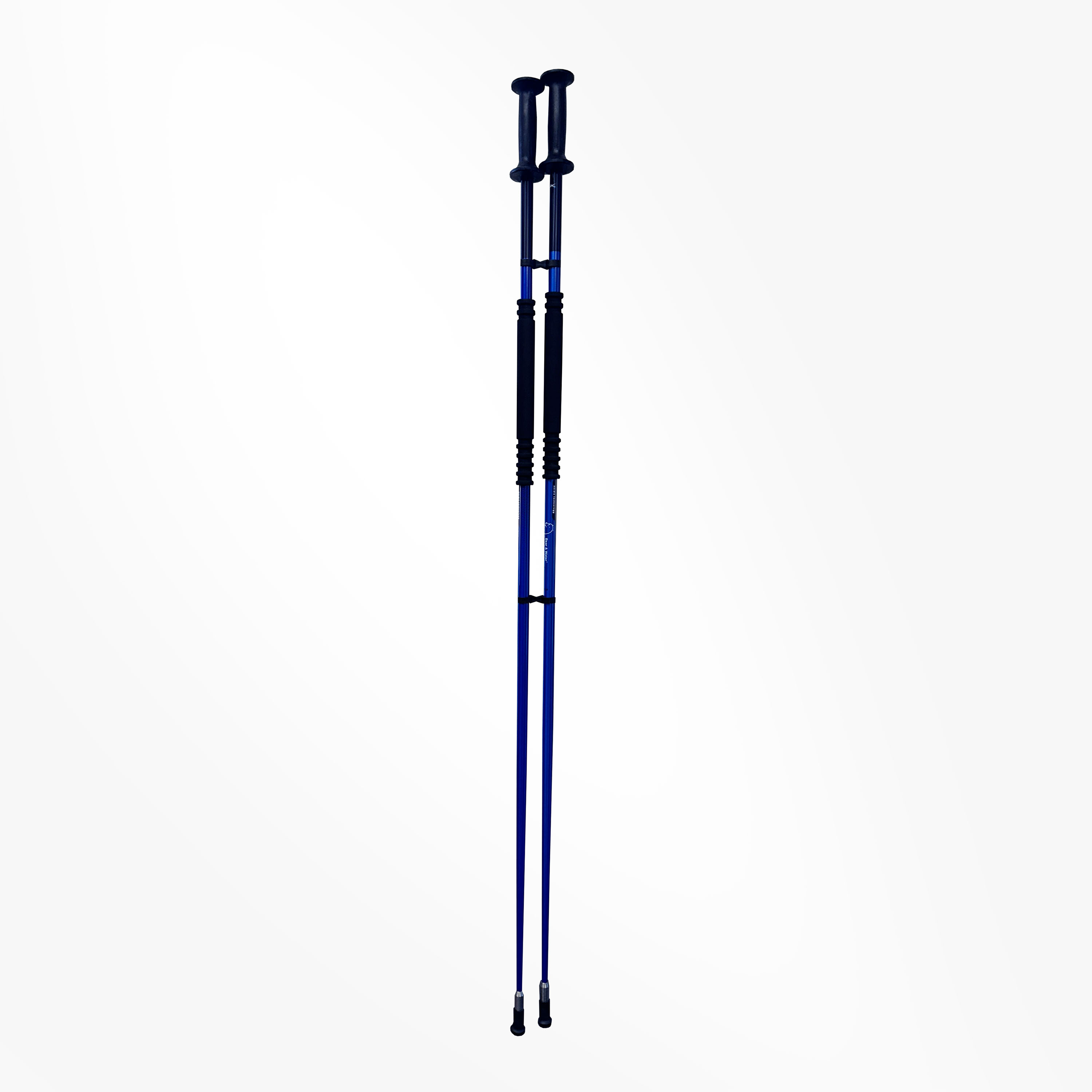 Bear and Water Blue ice poles